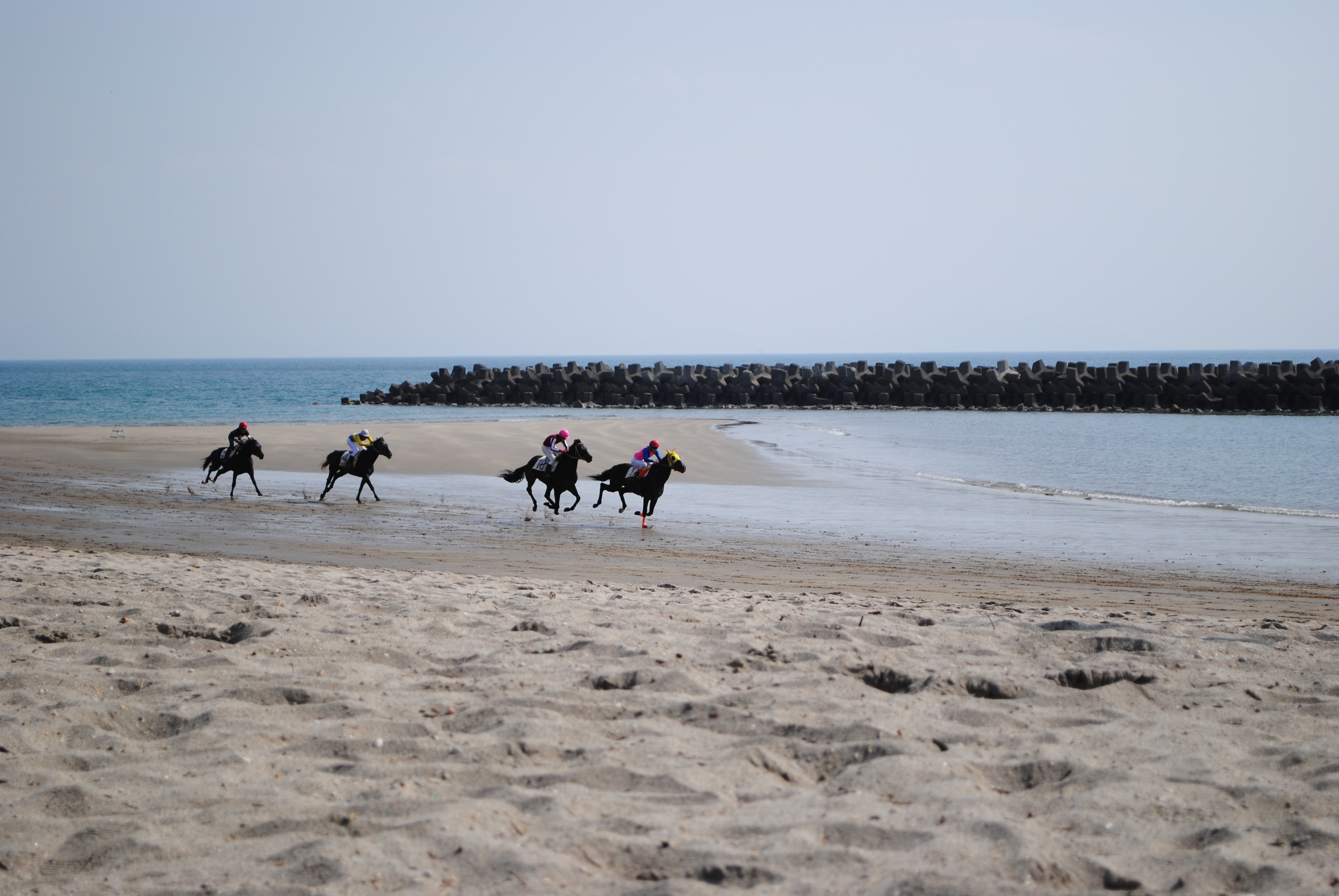 春の風物詩　串木野浜競馬