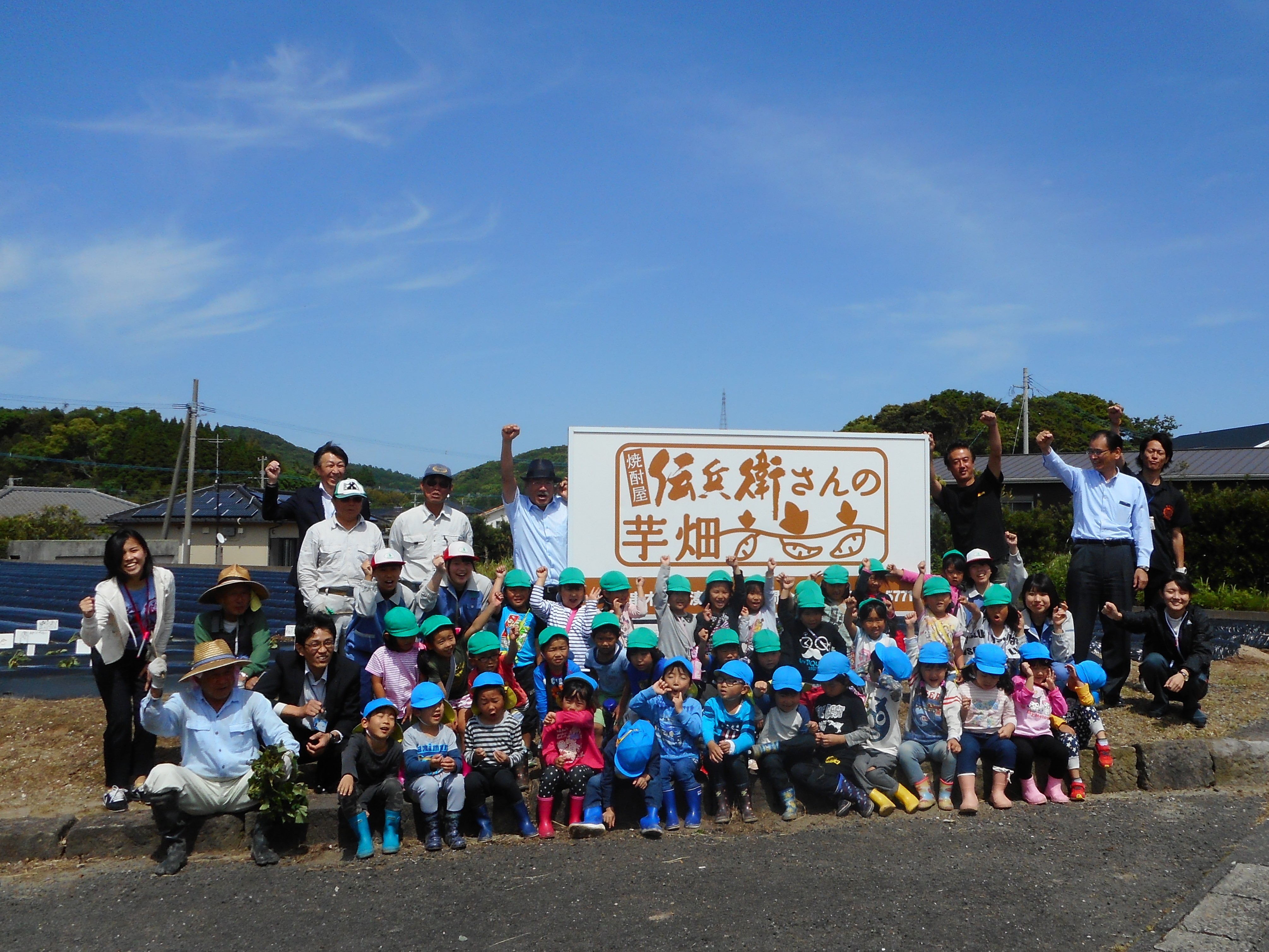 地元園児とさつまいもの苗植え