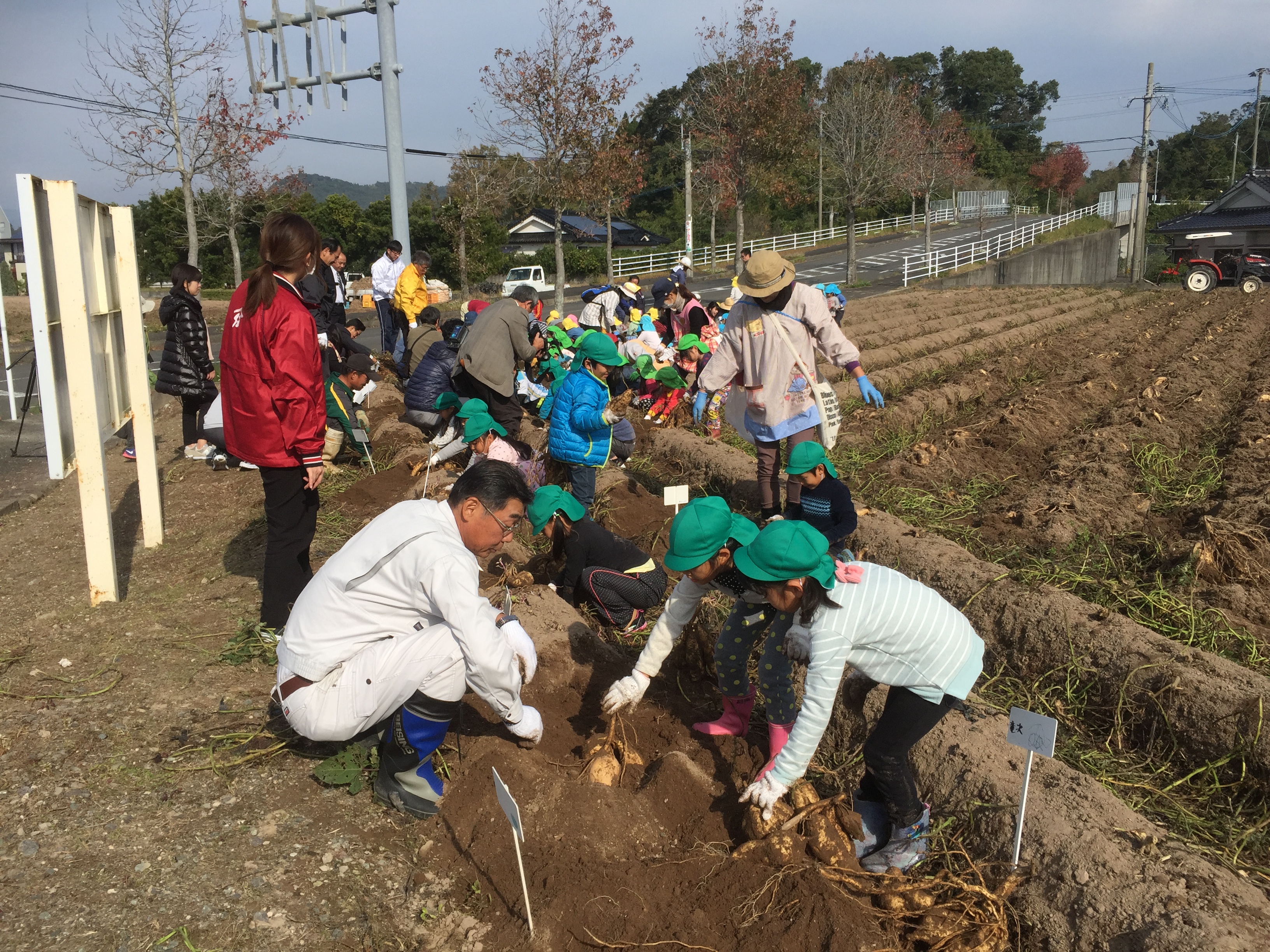 「伝兵衛さんの芋畑」で大収穫！