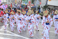 町が踊りの渦に飲み込まれるサルサ？さのさの夜