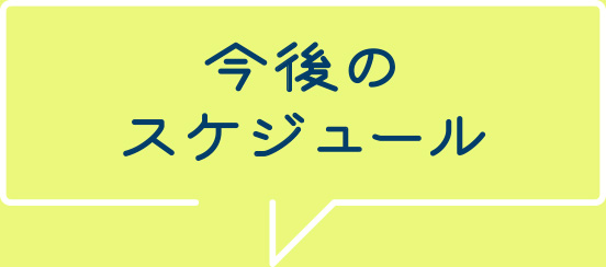 今後のスケジュール