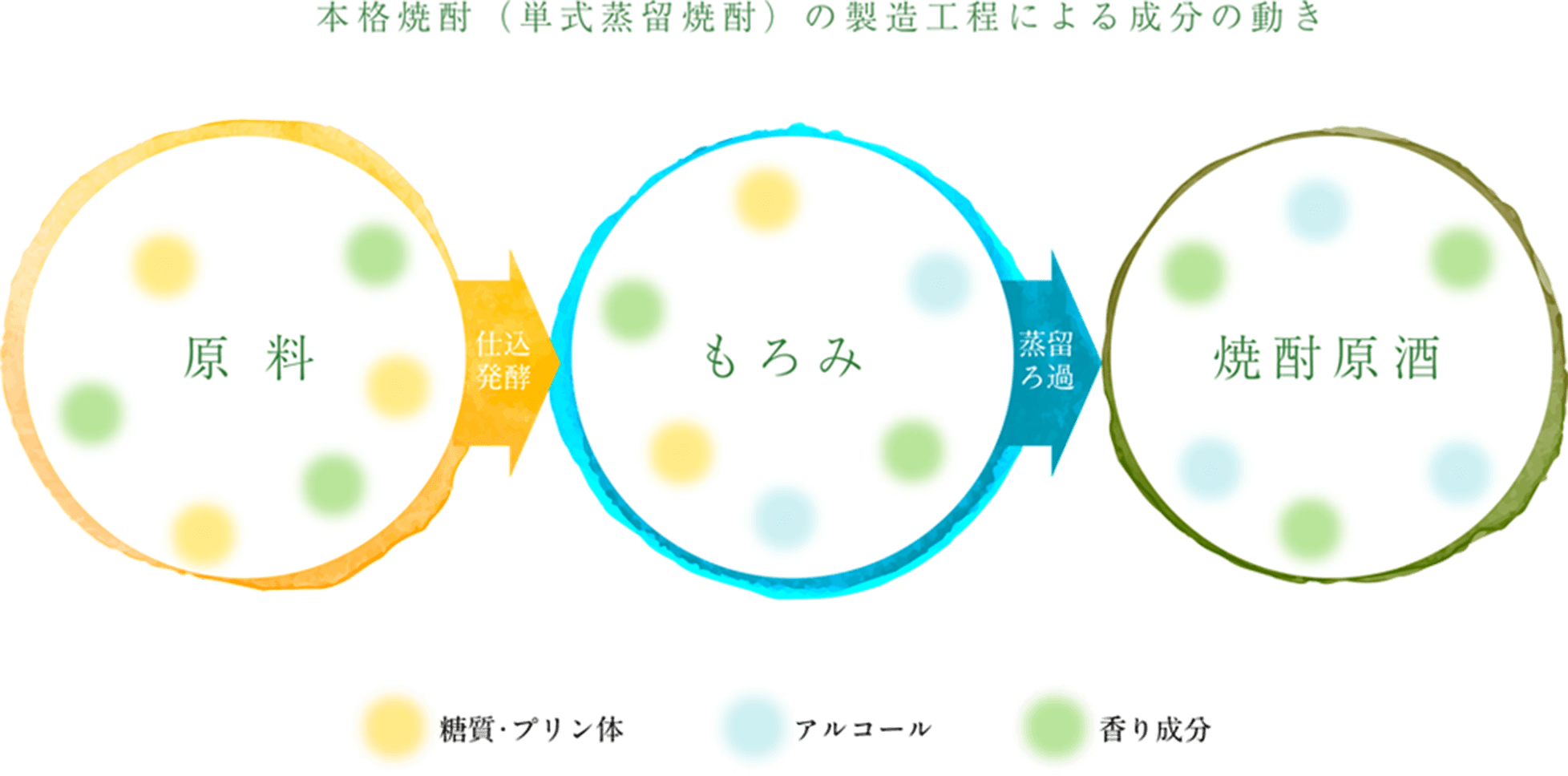 本格焼酎（単式蒸留焼酎）の製造工程による成分の動き